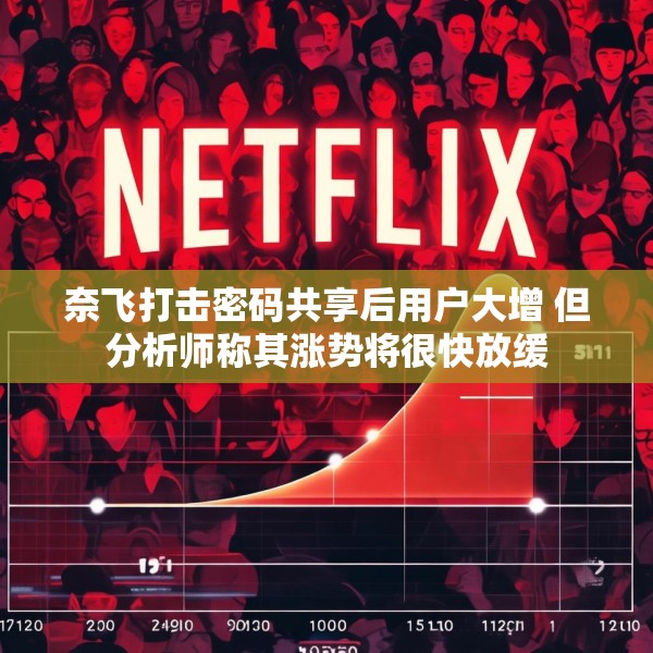 奈飞打击密码共享后用户大增 但分析师称其涨势将很快放缓