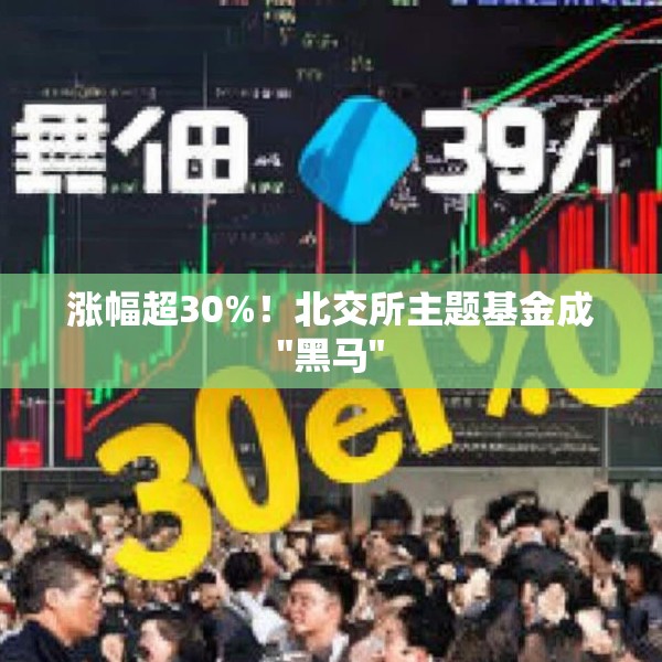 涨幅超30%！北交所主题基金成