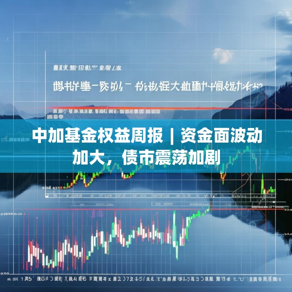 中加基金权益周报︱资金面波动加大，债市震荡加剧