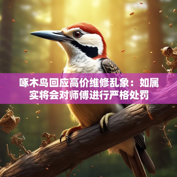 啄木鸟回应高价维修乱象：如属实将会对师傅进行严格处罚