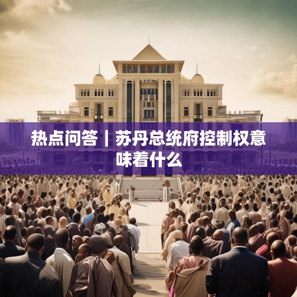 热点问答｜苏丹总统府控制权意味着什么