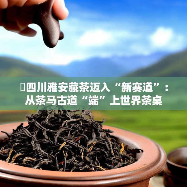 ​四川雅安藏茶迈入“新赛道”：从茶马古道“端”上世界茶桌