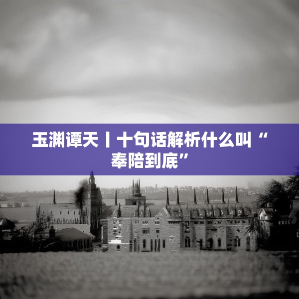 玉渊谭天丨十句话解析什么叫“奉陪到底”