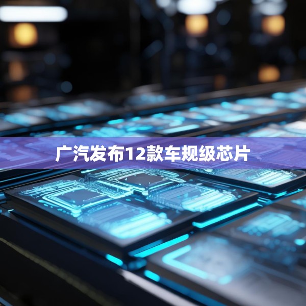 广汽发布12款车规级芯片