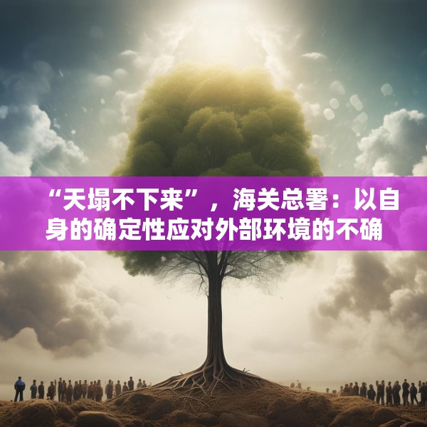 “天塌不下来”，海关总署：以自身的确定性应对外部环境的不确定性
