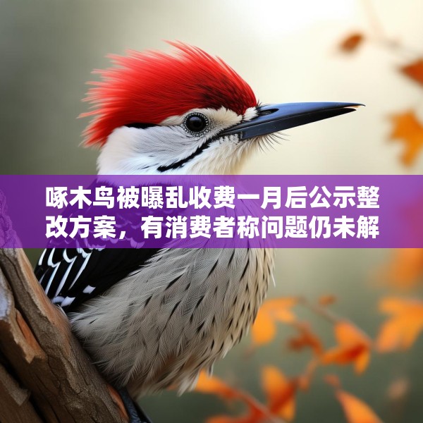 啄木鸟被曝乱收费一月后公示整改方案，有消费者称问题仍未解决