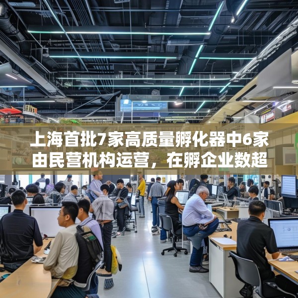 上海首批7家高质量孵化器中6家由民营机构运营，在孵企业数超200家
