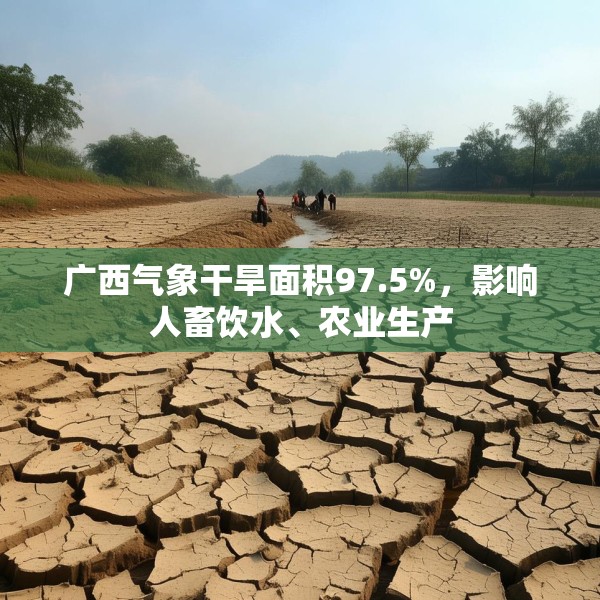 广西气象干旱面积97.5%，影响人畜饮水、农业生产