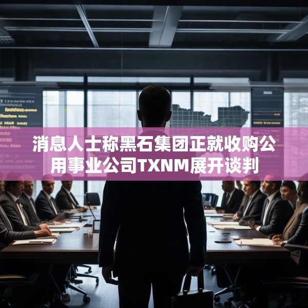 消息人士称黑石集团正就收购公用事业公司TXNM展开谈判