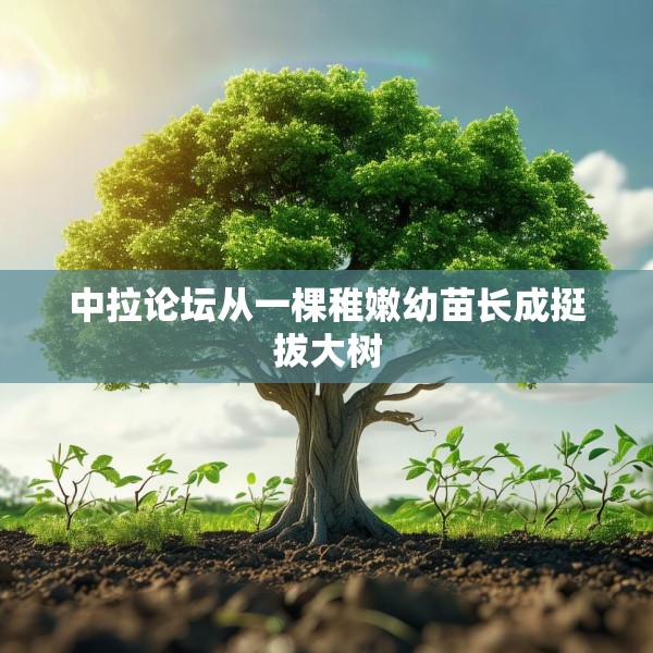 中拉论坛从一棵稚嫩幼苗长成挺拔大树