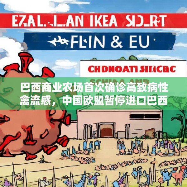 巴西商业农场首次确诊高致病性禽流感，中国欧盟暂停进口巴西禽肉产品