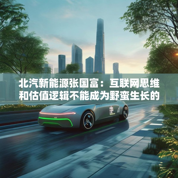 北汽新能源张国富：互联网思维和估值逻辑不能成为野蛮生长的理由