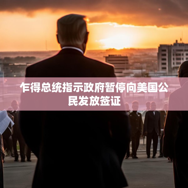乍得总统指示政府暂停向美国公民发放签证