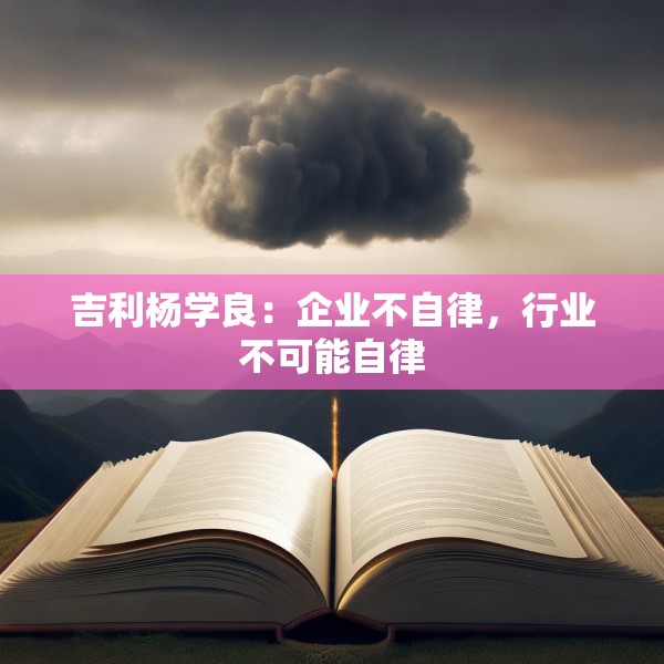 吉利杨学良：企业不自律，行业不可能自律