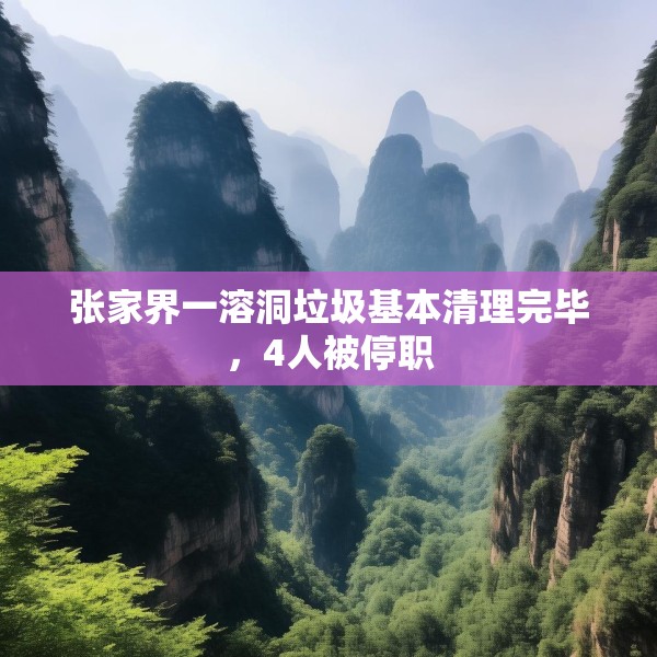 张家界一溶洞垃圾基本清理完毕，4人被停职