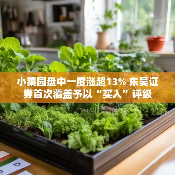 小菜园盘中一度涨超13% 东吴证券首次覆盖予以“买入”评级