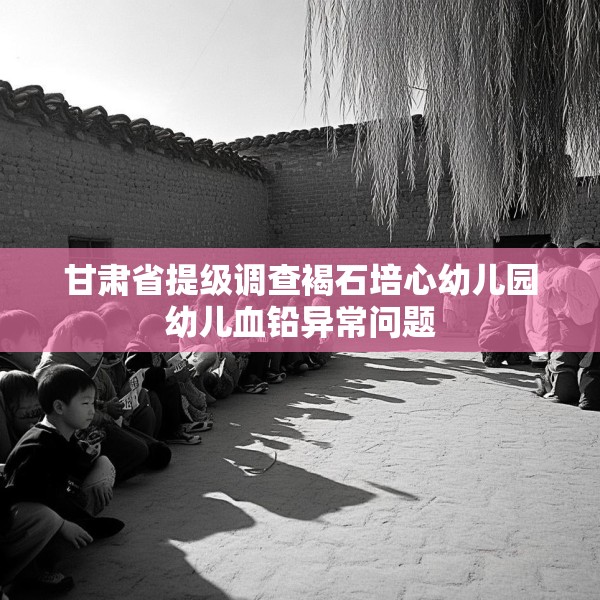 甘肃省提级调查褐石培心幼儿园幼儿血铅异常问题