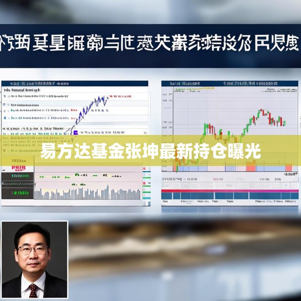 易方达基金张坤最新持仓曝光