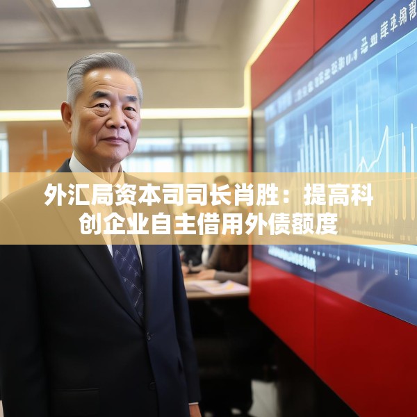 外汇局资本司司长肖胜：提高科创企业自主借用外债额度